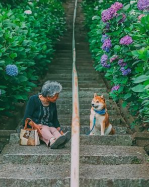 Japanese Old Woman With Her Bestie Paint by numbers