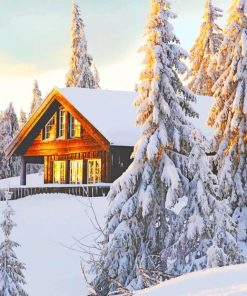 Norwegian Cabin In Snow paint by numbers