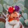 Rough Collie With Flowers paint by numbers