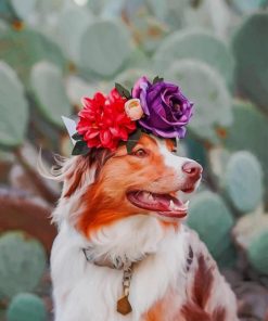 Rough Collie With Flowers paint by numbers