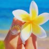 White And Yellow Frangipani Flower paint by nu