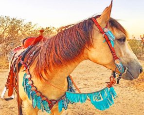 Barrel Racing Horse paint by numbers