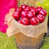 Basket Full Of Apples paint by numbers