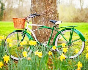 Bike In Nature paint by numbers