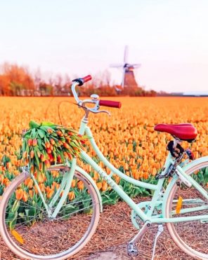 Bike In Orange Tulips Field paint by numbers