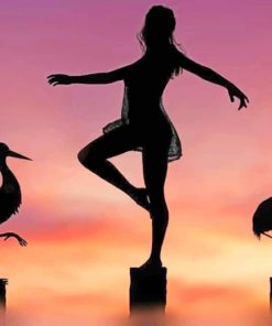 Girl And Birds Silhouette paint by numbers