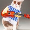 Guitarist Cat paint by numbers