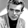 James Dean paint by numbers