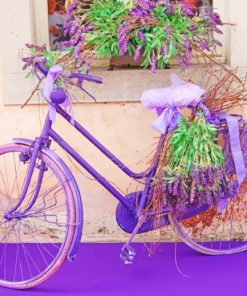 Lavender Bike paint by numbers