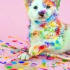 Messy Dog With Paints paint by numbers