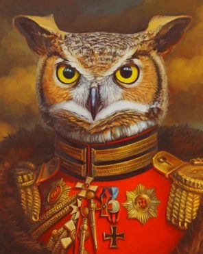 Mr Owl Paint by numbers