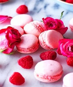 Pink Macarons And Flowers paint by numbers