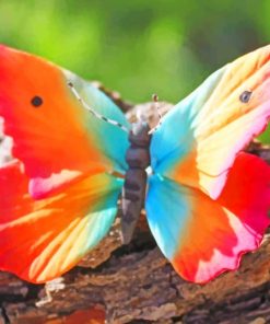 Rainbow Butterfly paint by numbers