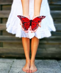 Red Butterfly On Hands paint by numbers