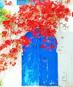 Red Flowers And Door paint by numbers