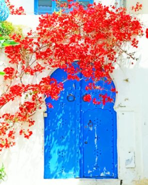 Red Flowers And Door paint by numbers