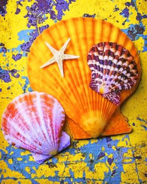 Sea Shells paint by numbers