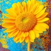 Sunflower Blossom paint by numbers