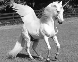 White Horse With Wings paint by numbers