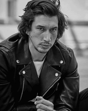 Adam Douglas Driver paint by numbers