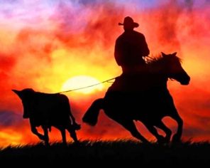 Aesthetic Cowboy Silhouette Paint by numbers