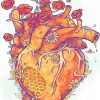 Anatomical Heart Bee Honey paint by numbers