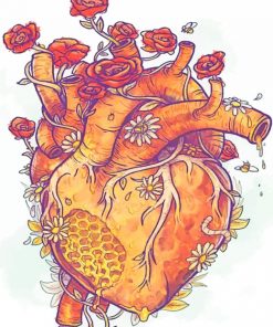 Anatomical Heart Bee Honey paint by numbers