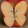 Apple Butterfly Paint by numbers