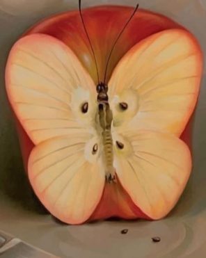 Apple Butterfly Paint by numbers