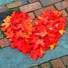 Autumn Leaves Heart paint by numbers