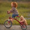 Baby Cyclist With His Teddy Bear paint by numbers