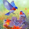 Blue Birds Paint by numbers