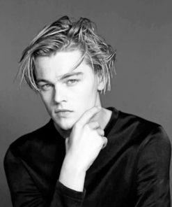 Black And White Leonardo DiCaprio paint by numbers