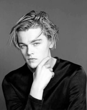 Black And White Leonardo DiCaprio paint by numbers