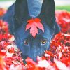 Black German Shepherd Fall Paint by numbers