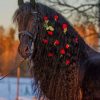 Black Horse With Red Flowers paint by numbers