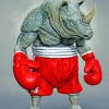 Boxer Rhino paint by numbers