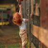 Boy Playing With A Goat Paint by numbers