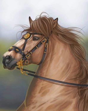 Brown Horse paint by numbers