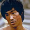 Bruce Lee Paint by numbers