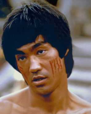 Bruce Lee Paint by numbers