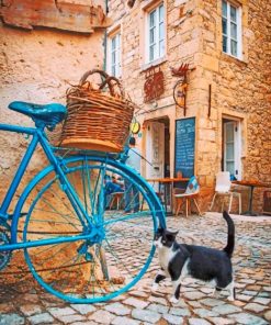 Cat And Blue Bike Paint by numbers