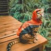 Bengal Cat Wearing An Orange Hoodie Paint by numbers