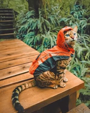 Bengal Cat Wearing An Orange Hoodie Paint by numbers