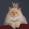 Cat With A Crown paint by numbers