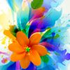 Colorful Flower Paint by numbers