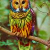 Colorful Owl paint by numbers