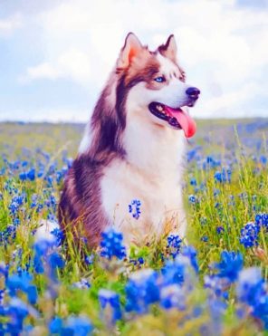 Dog And Blue Flowers paint by numbers