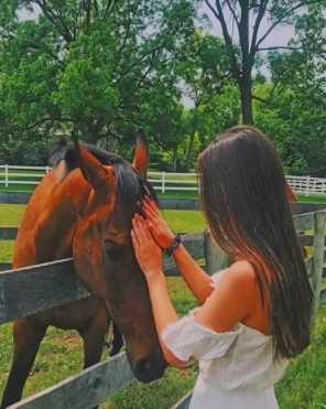 Girl With Her Brown Horse Paint By Numbers