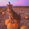 Bengal Cat Celebrating The Halloween Paint by numbers